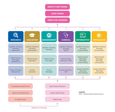 registered nurse career pathways.